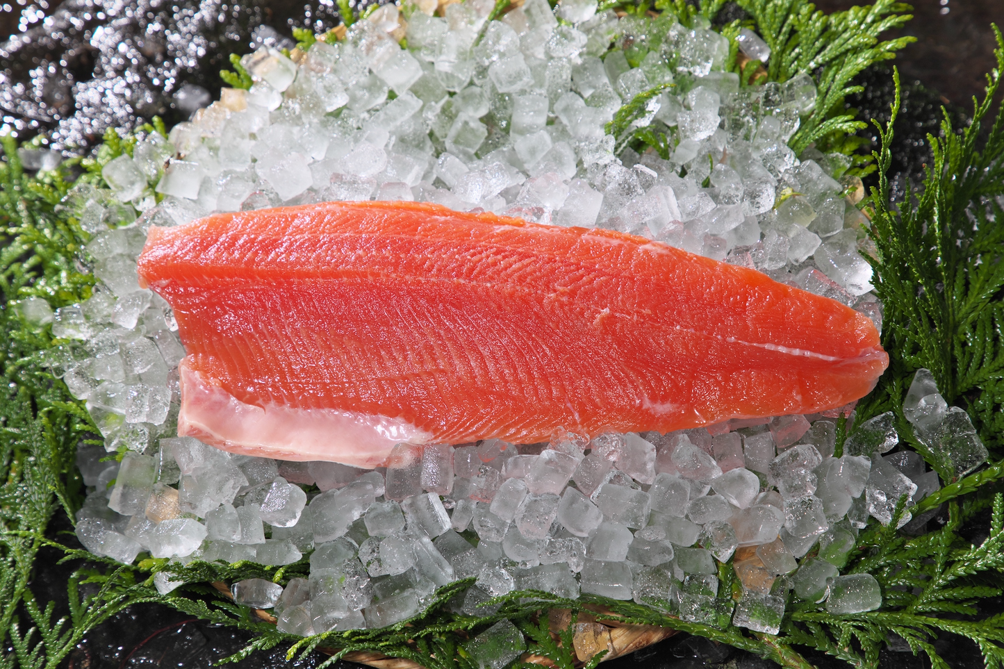 ギンヒカリのフィレ 1匹分(2切れ)