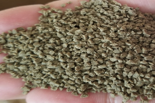 ［稚魚同時購入］飼育用飼料100ｇエサ　稚魚